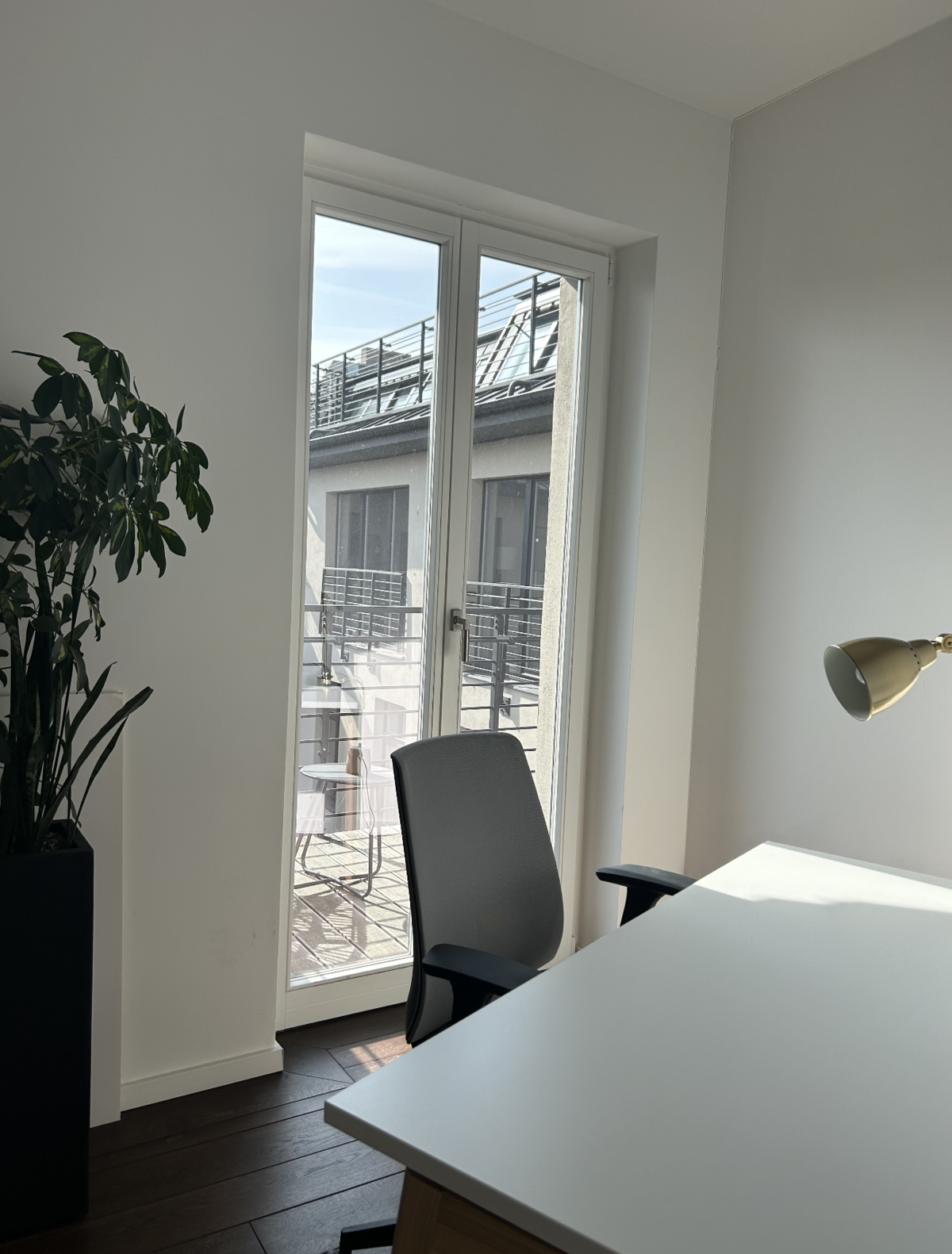 Office pHyq Schönhausser Allee  44 in Berlin, Prenzlauer Berg