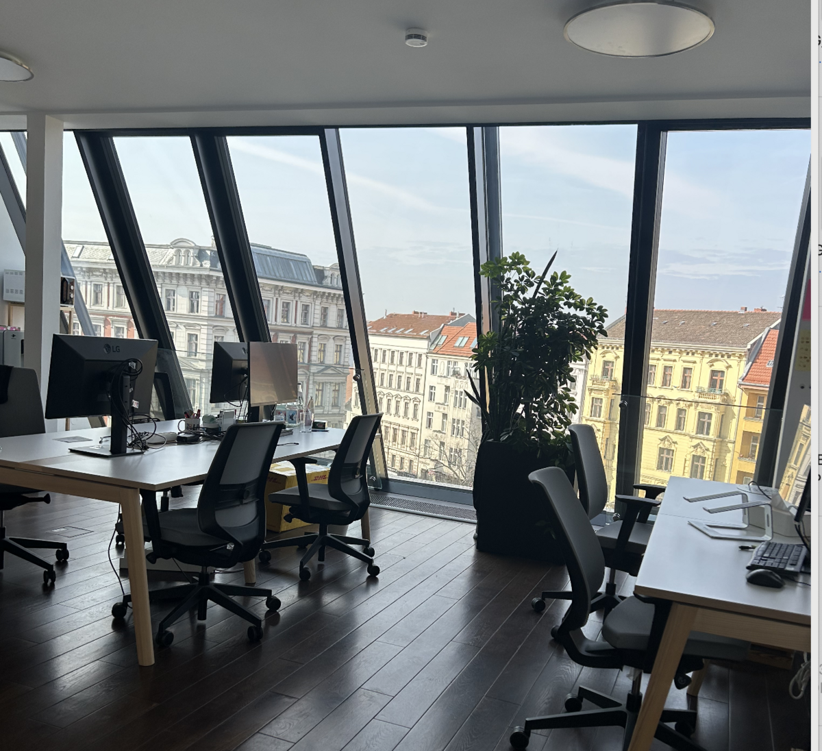 Büro pHyq Schönhausser Allee  44 in Berlin, Prenzlauer Berg